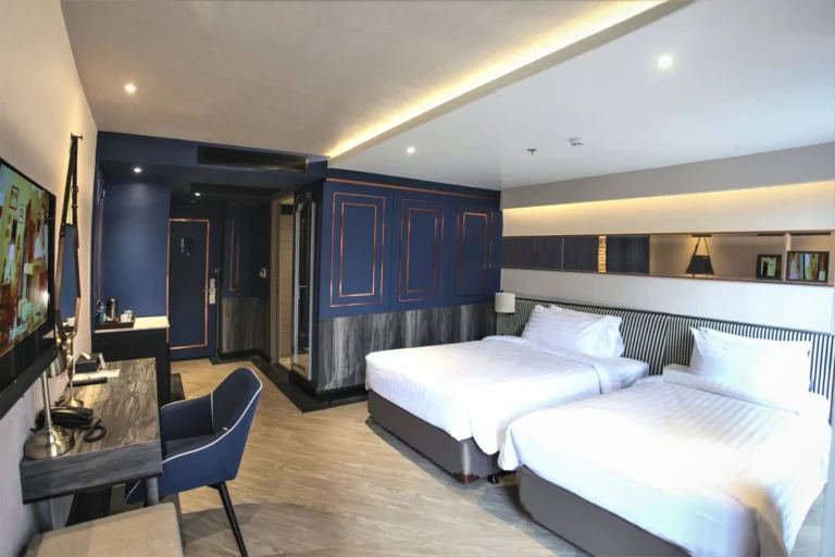 Deluxe Discovery Room (Twin Bed)